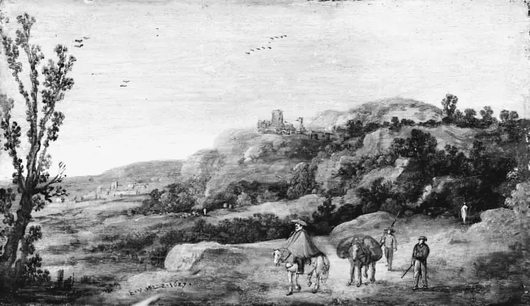 Hilly Landscape