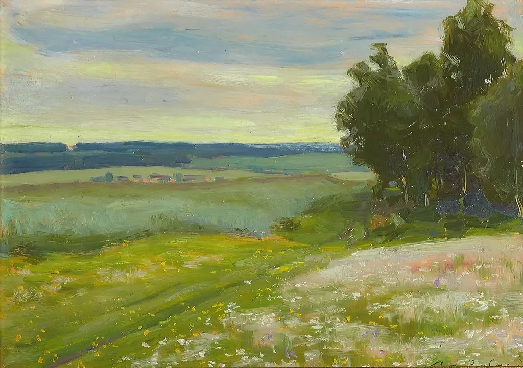 Evening field