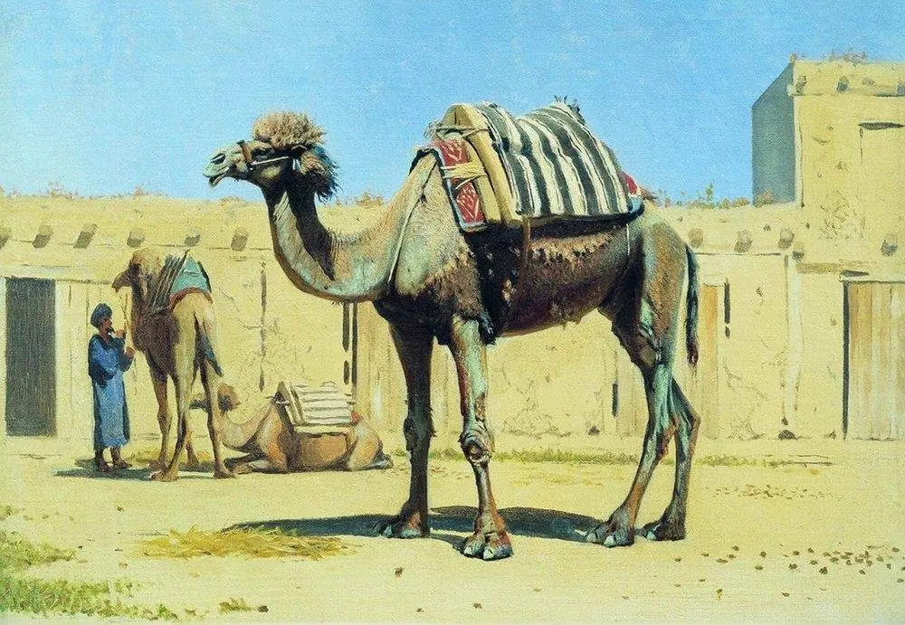 Camel in the courtyard of the caravanserai
