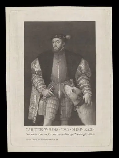 H Beard Print Collection