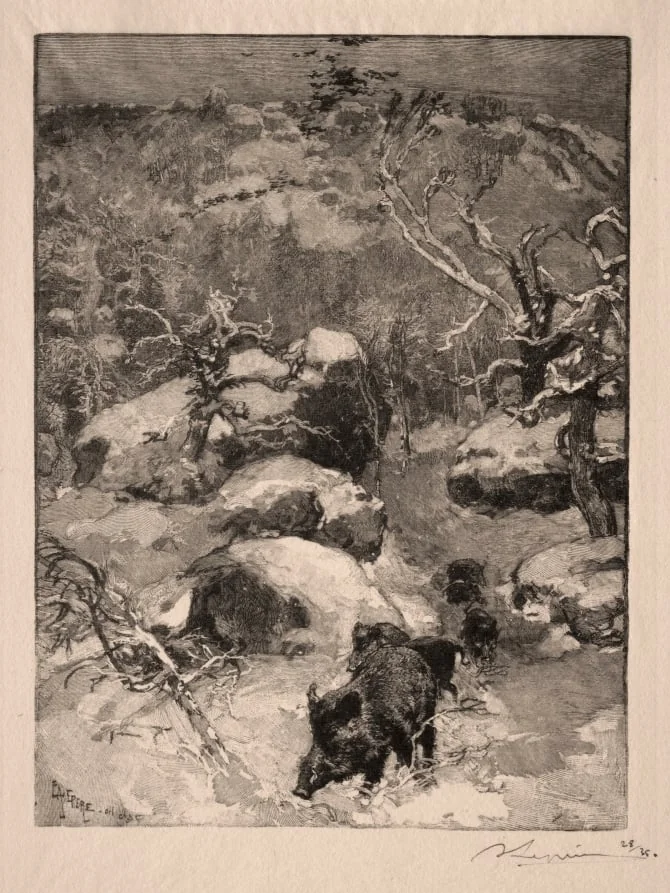 Roche Cuvier Chatillon, by Auguste Lepère, 1887