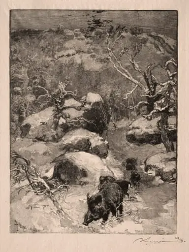 Roche Cuvier Chatillon