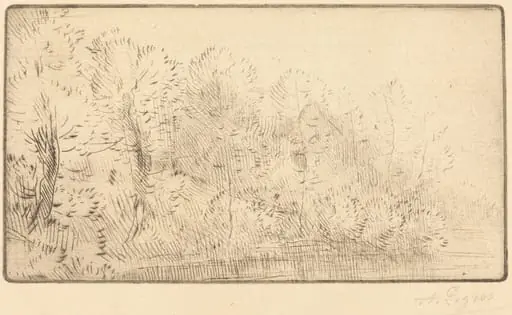 Along the River (Sur la riviere)