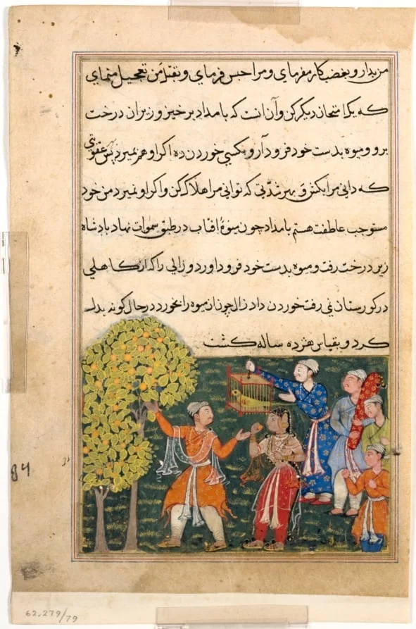 The king plucks fruit from the Tree of Life with his own hands and feeds it to a lady, from a Tuti-nama (Tales of a Parrot): Ninth Night