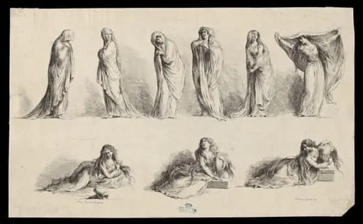 H Beard Print Collection