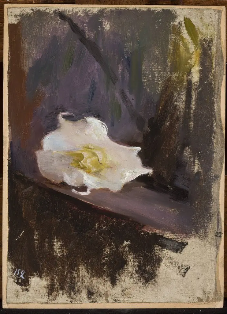 White flower, study