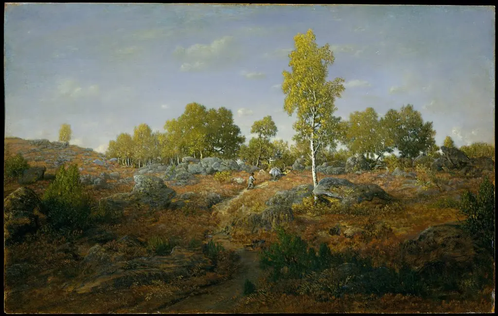 A Path among the Rocks