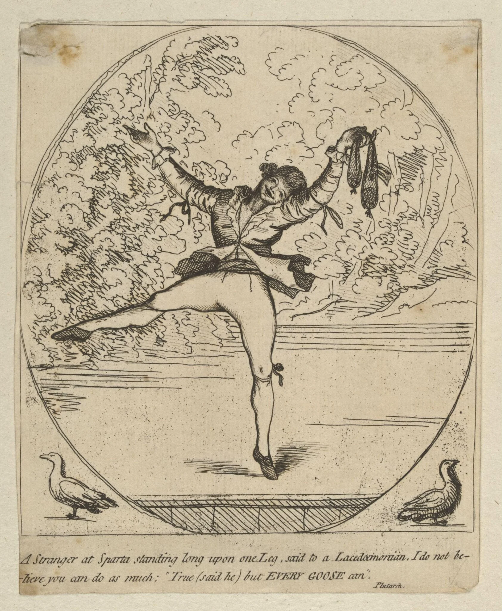 H Beard Print Collection
