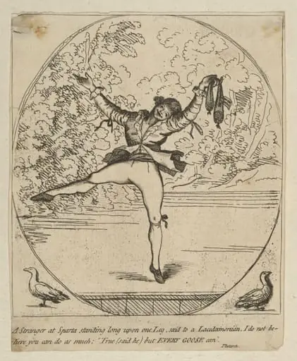 H Beard Print Collection