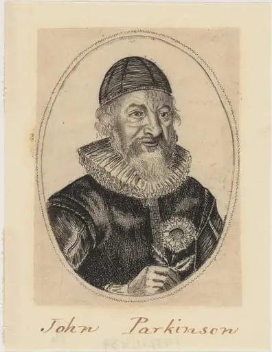 John Parkinson, Apothecary and Herbalist to James I