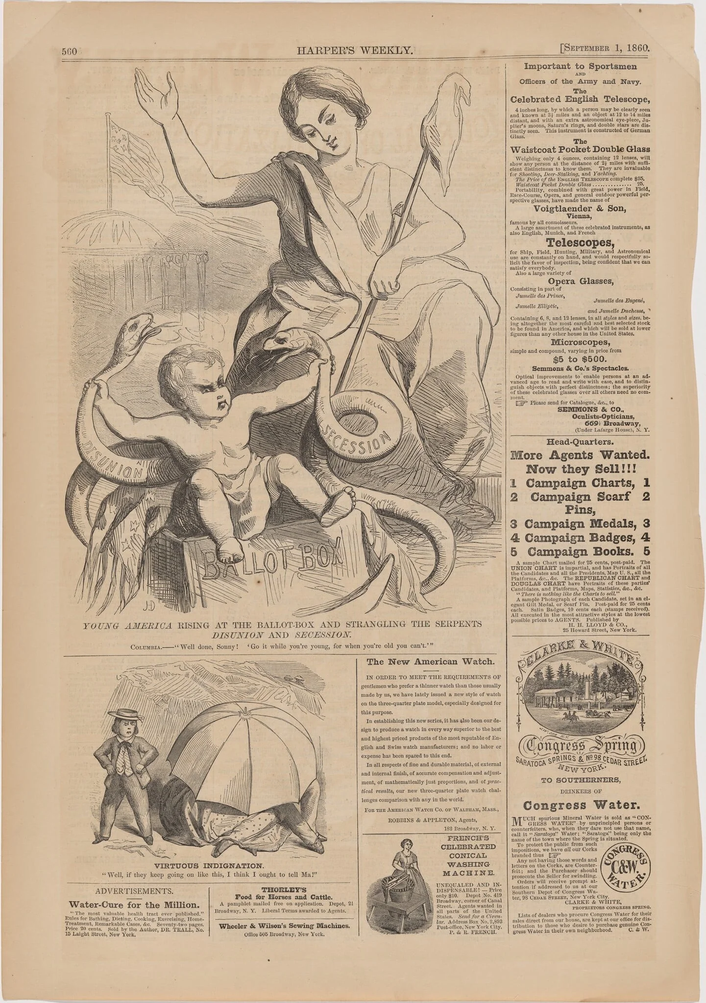 Young America Rising at the Ballot-Box and Strangling the Serpents: Disunion and Secession