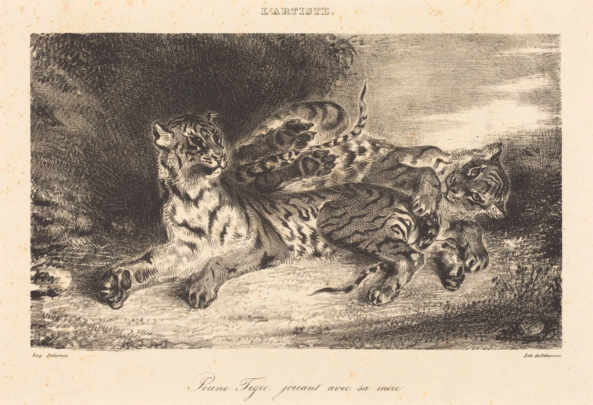 Young Tiger Playing with its Mother (Jeune tigre jouant avec sa mère), by Eugène Delacroix, ink, 1831