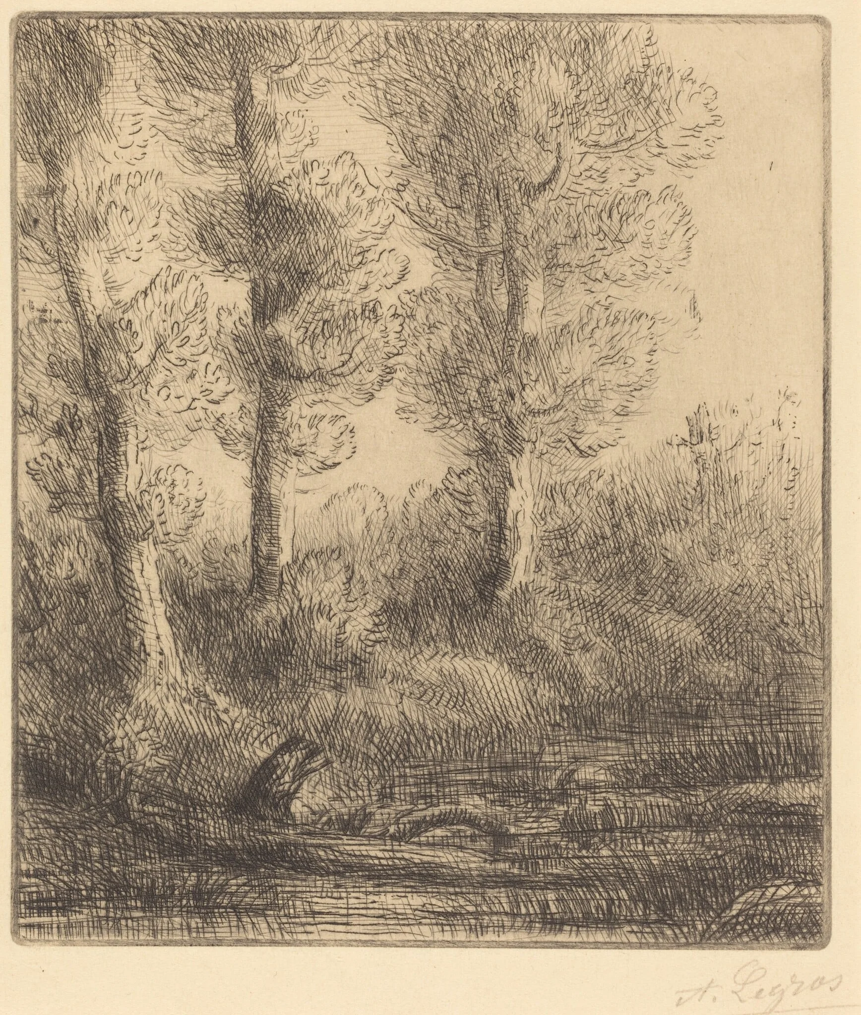 Banks of the Saint-Pre (Rive du Saint-Pre)
