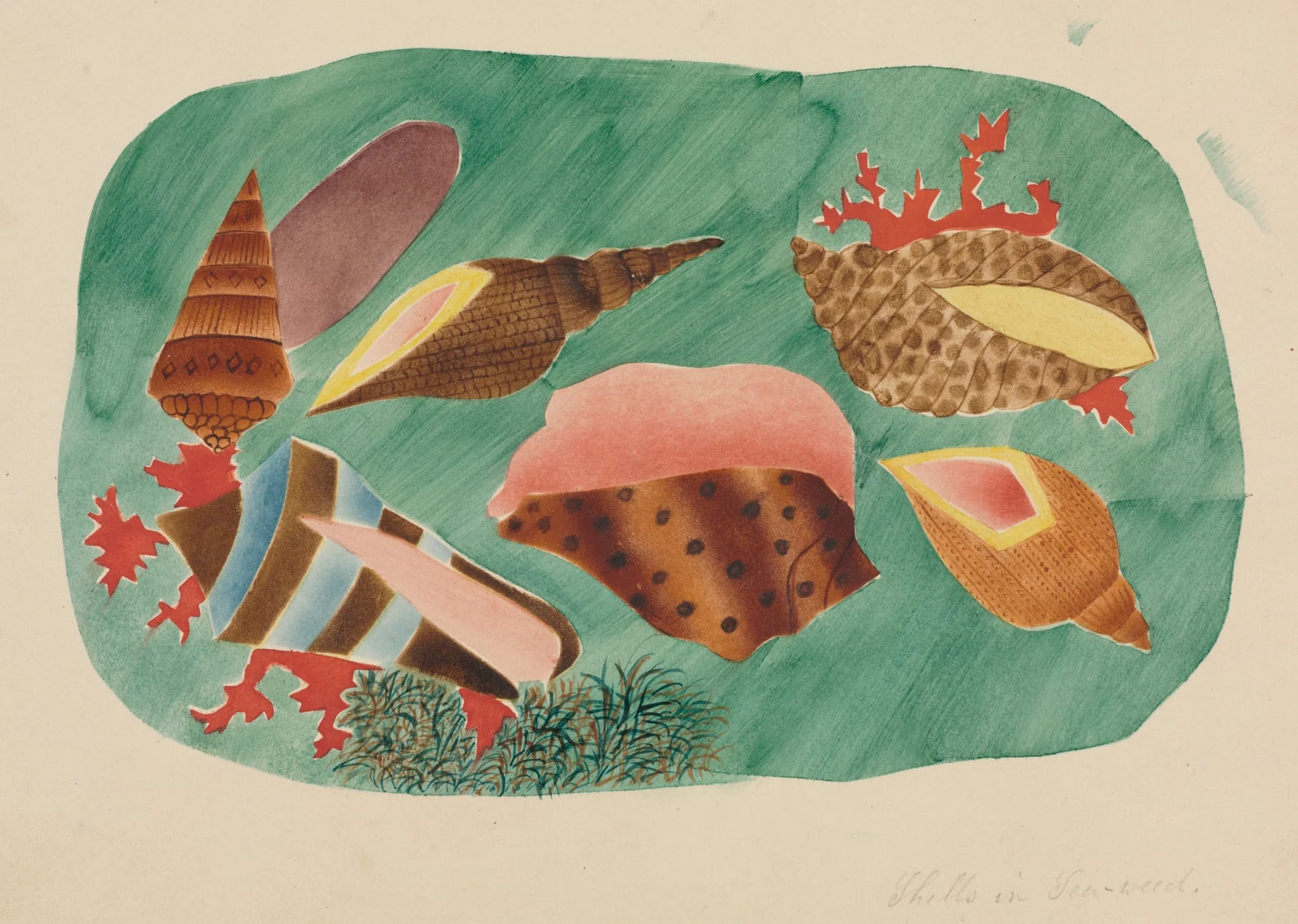 Shells in Seaweed, by Mary Altha Nims, 1804