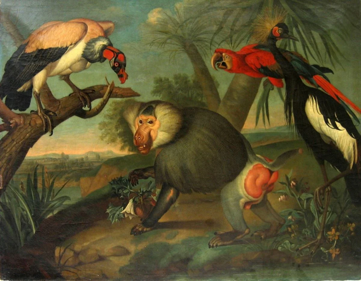Animale exotice
