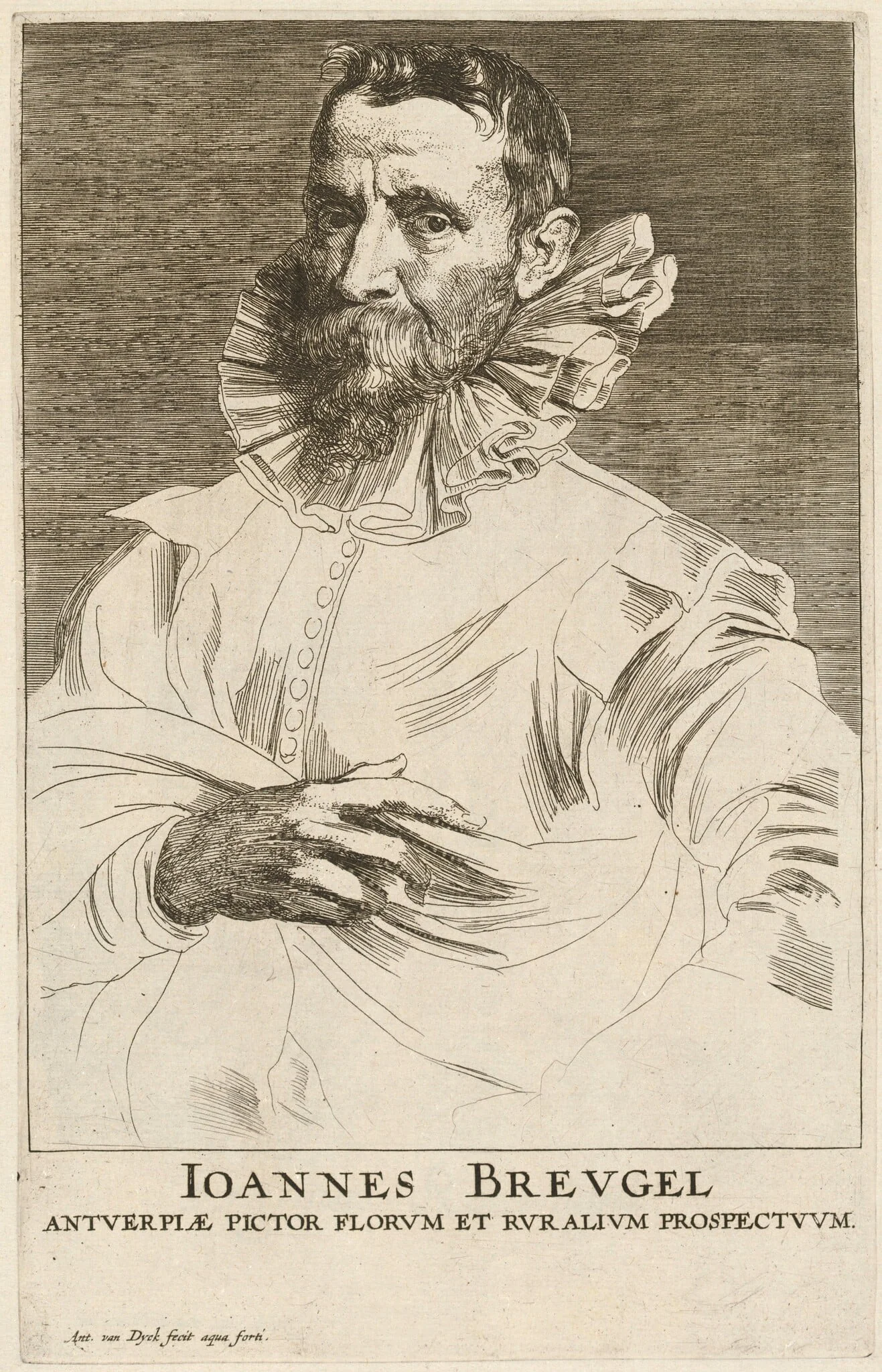 Jan Bruegel the Elder, by Anthony van Dyck, ink, 1634