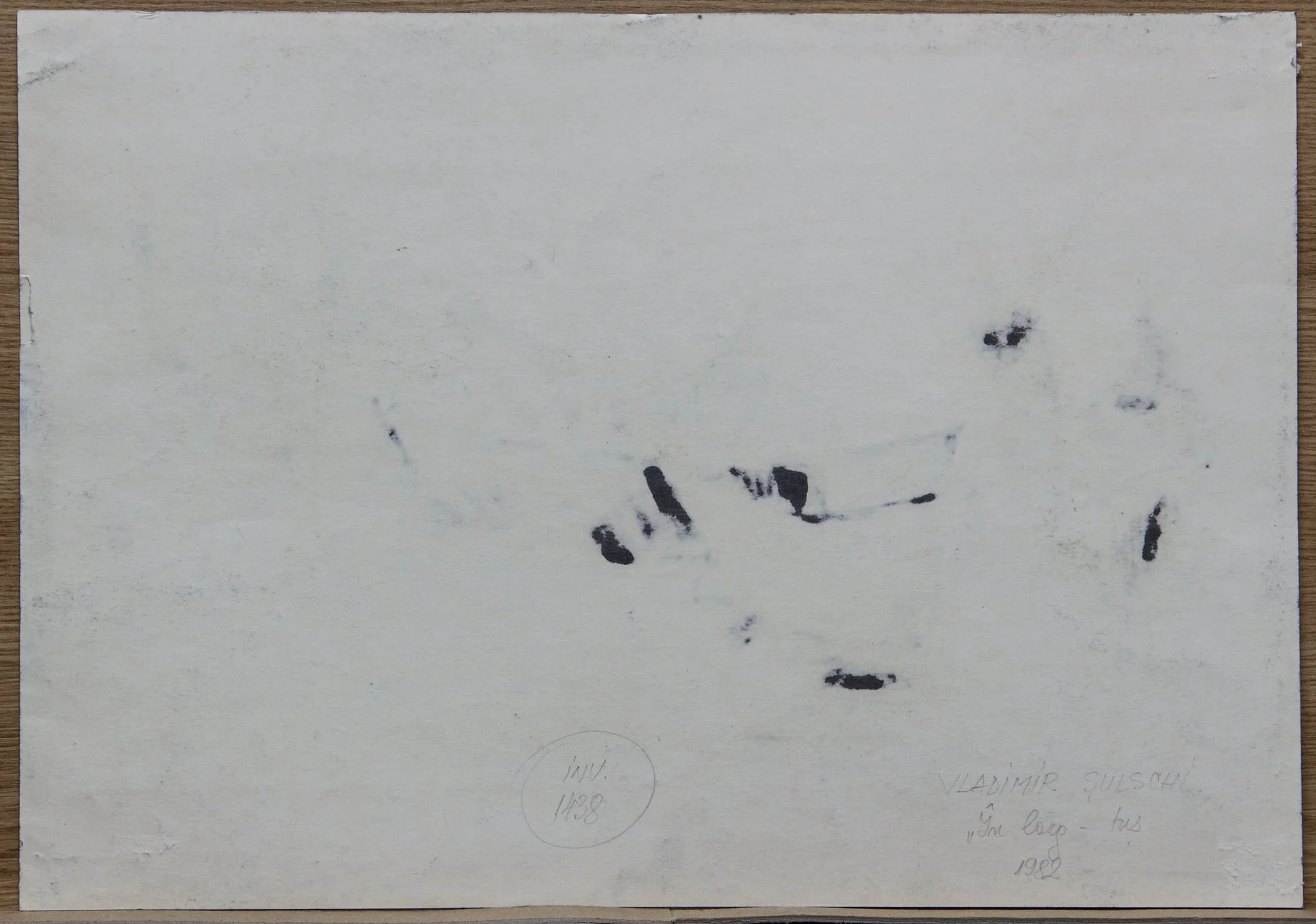 În larg, by Vladimir Șulschi, 1950