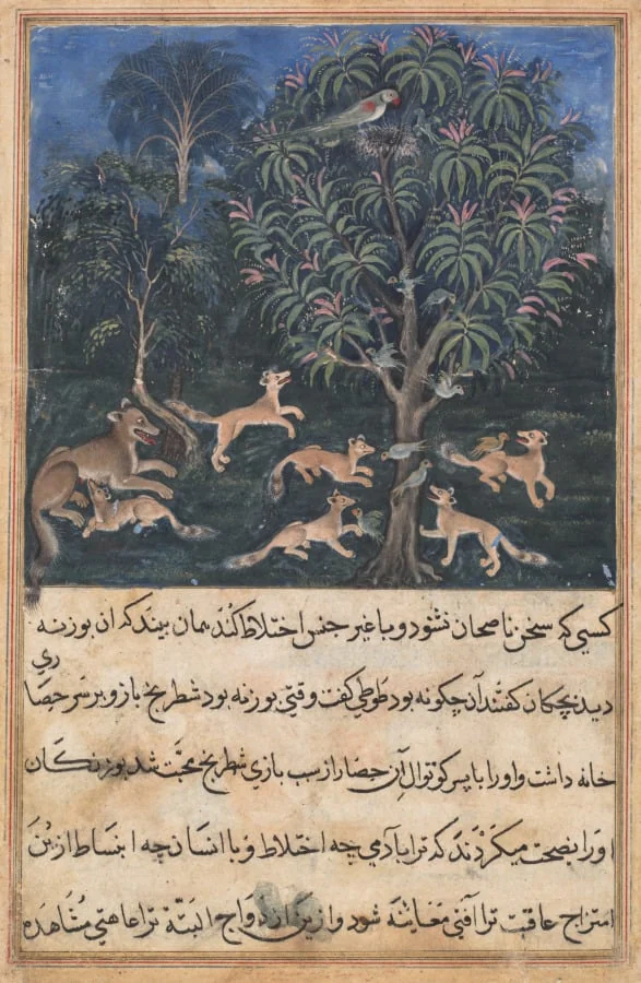 The parrot mother cautions her young on the danger of playing with foxes, from a Tuti-nama (Tales of a Parrot): Fifth Night, by Daswanth, unspecified, 1560
