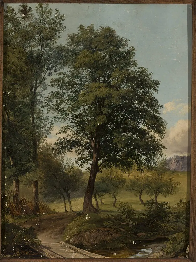 View with a bridge over a creek