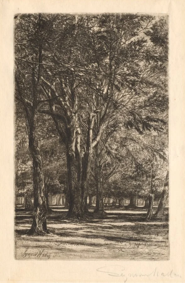 Kensington Gardens, No. 2 (Large Plate), by Francis Seymour Haden, 1860