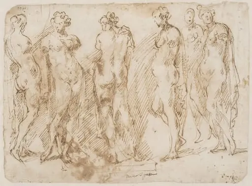 Six studies after an armless state of a female nude