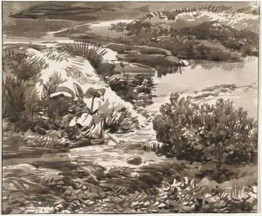 Corner of a Meadow with a Stream