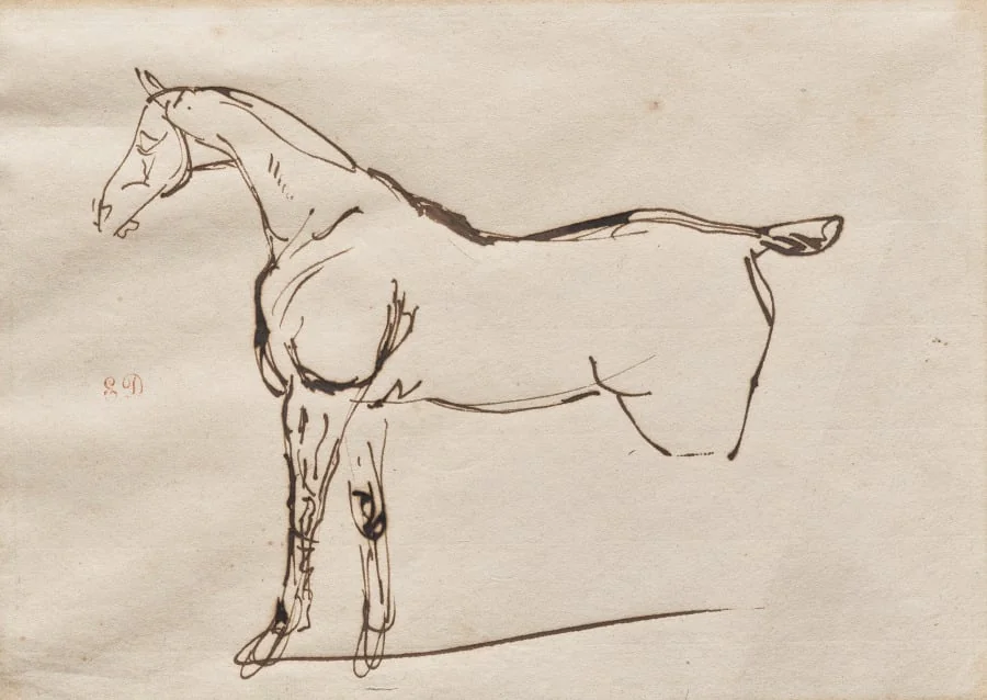 Study of a Horse