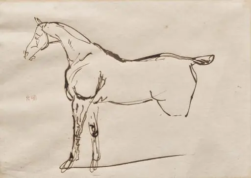 Study of a Horse