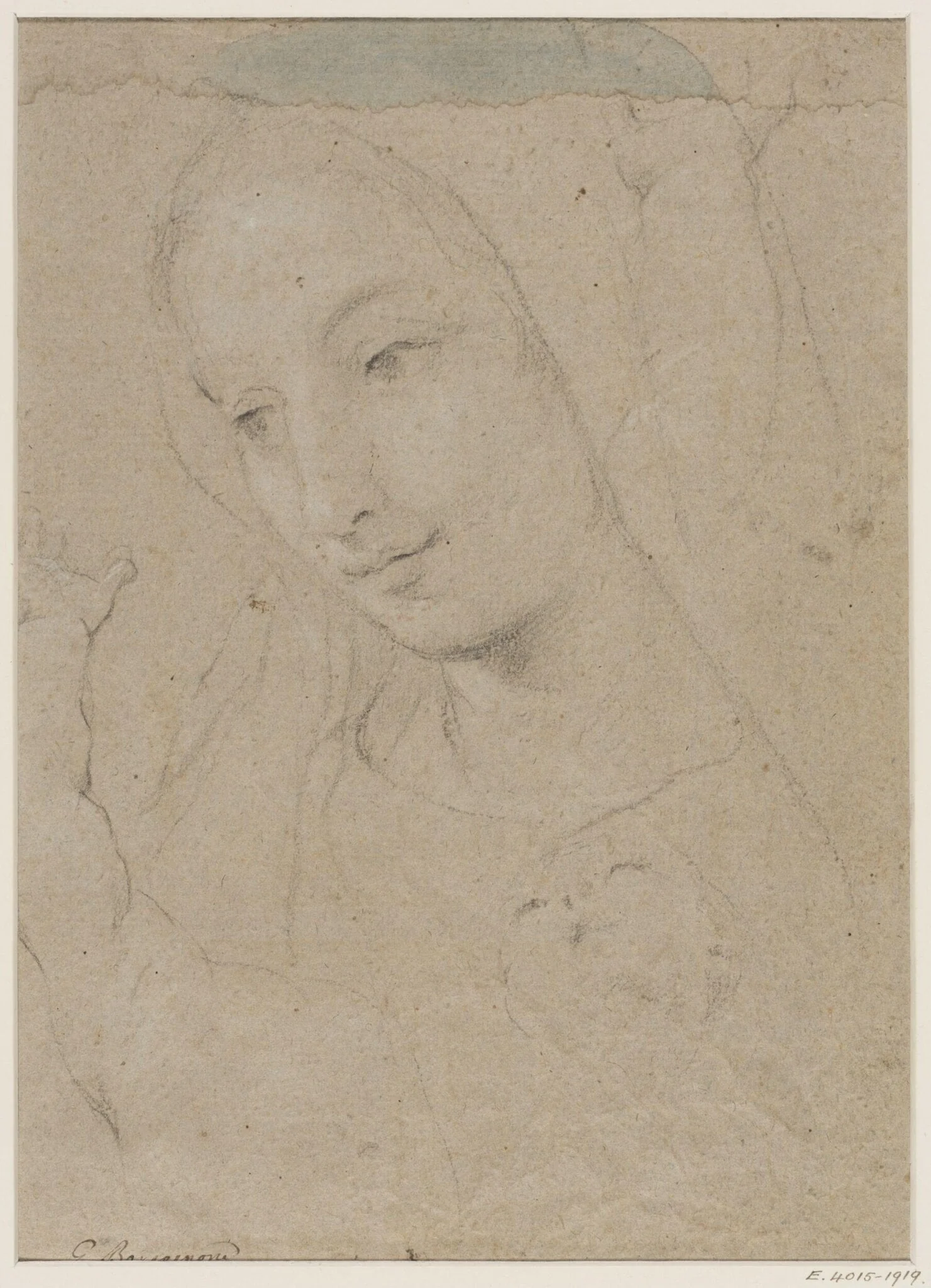 Head of a young woman