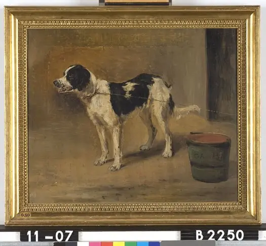 A Dog on a Leash