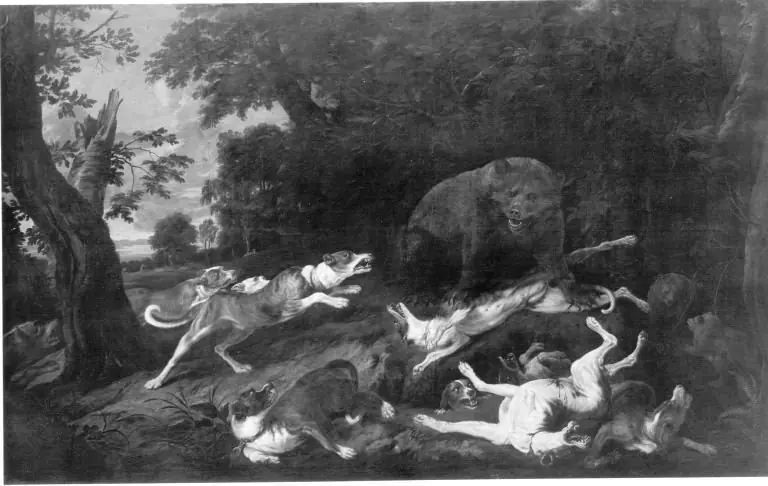 Dogs attacking a bear and her cubs