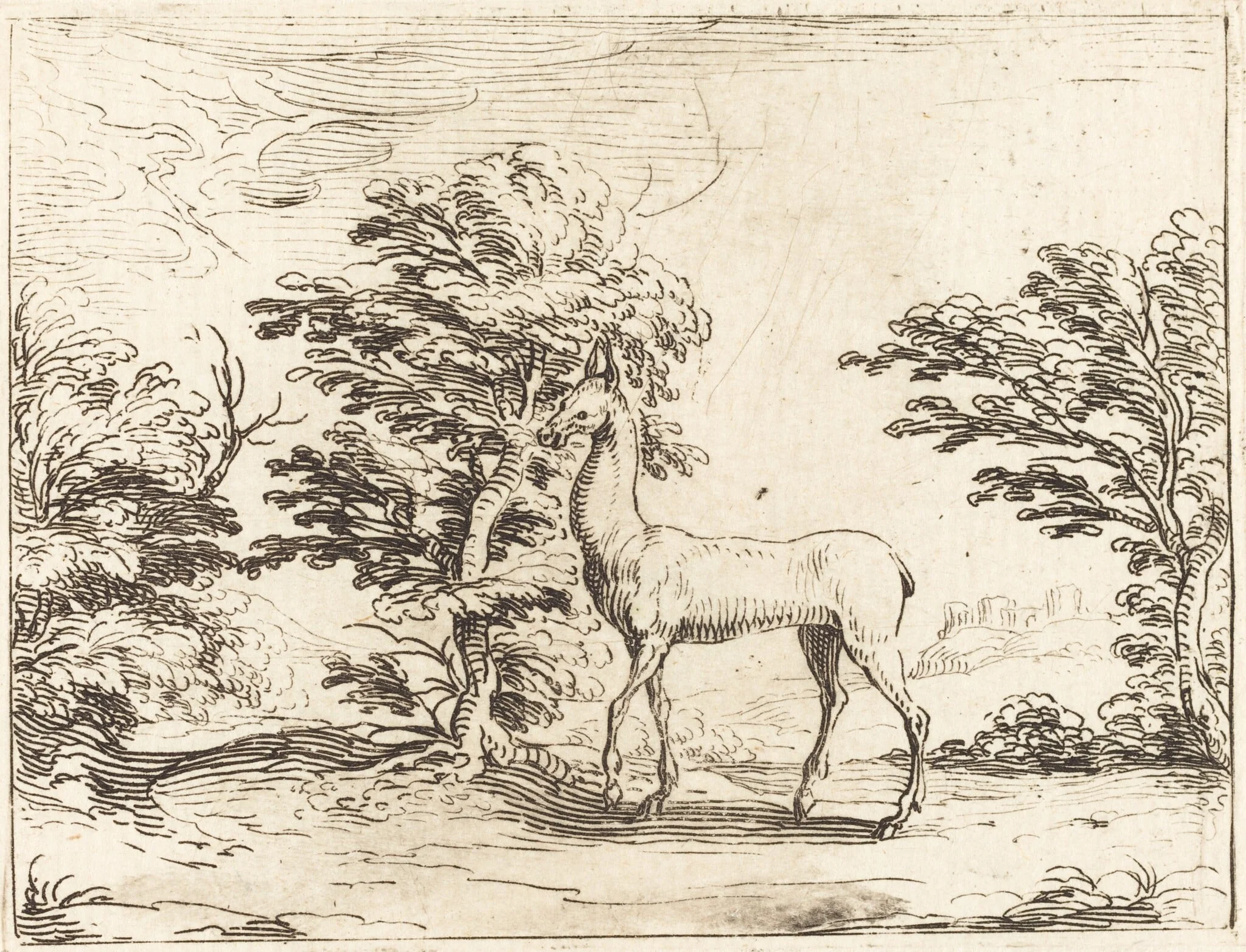 The Doe, by Jacques Callot, ink, 1628