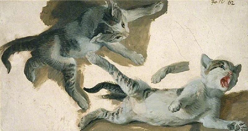 Sketches of a kitten