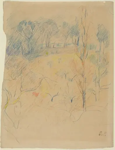 Spring Landscape