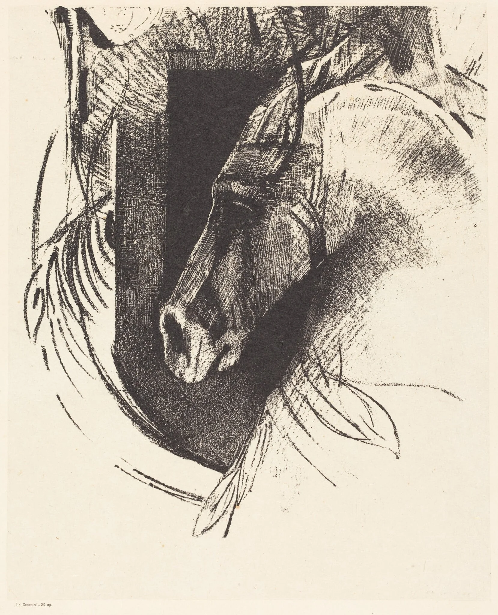 Le Coursier (The Race Horse), by Odilon Redon, ink, 1894