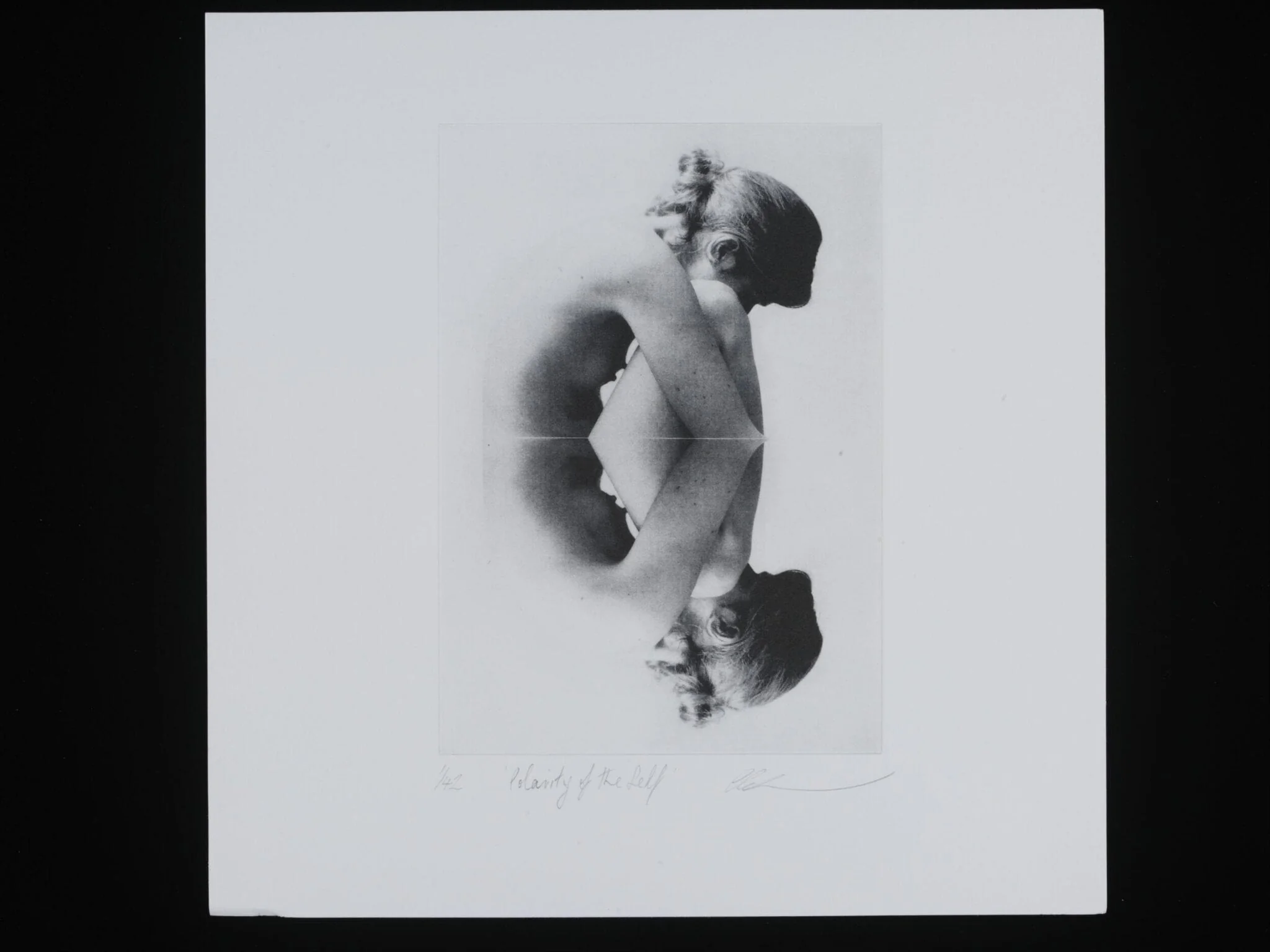 Polarity of the Self, by Clare Grossman, 2013