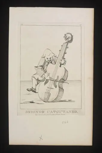 H Beard Print Collection
