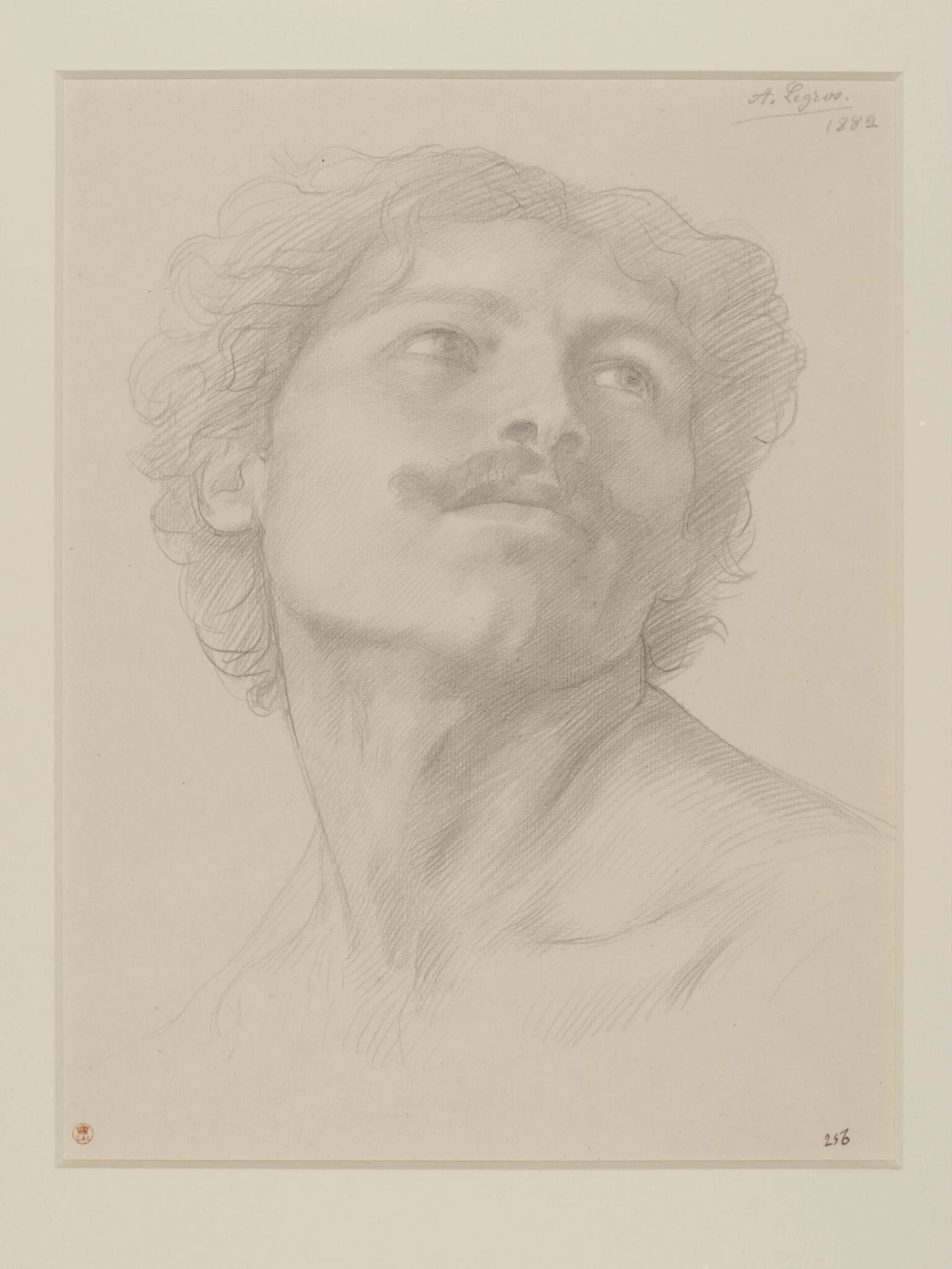 Study of the head of a man