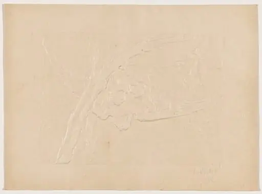 Le vautour (The Vulture)