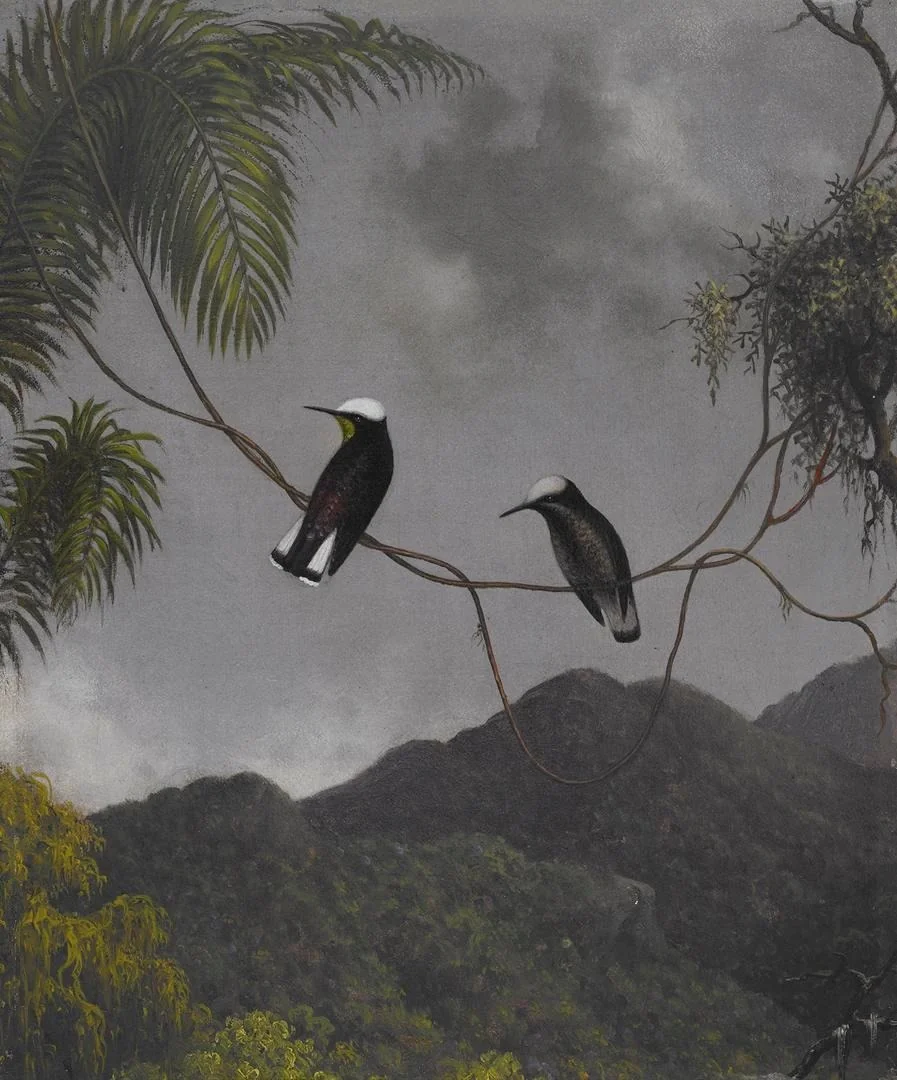 Snowcap, by Martin Johnson Heade, oil, 1863