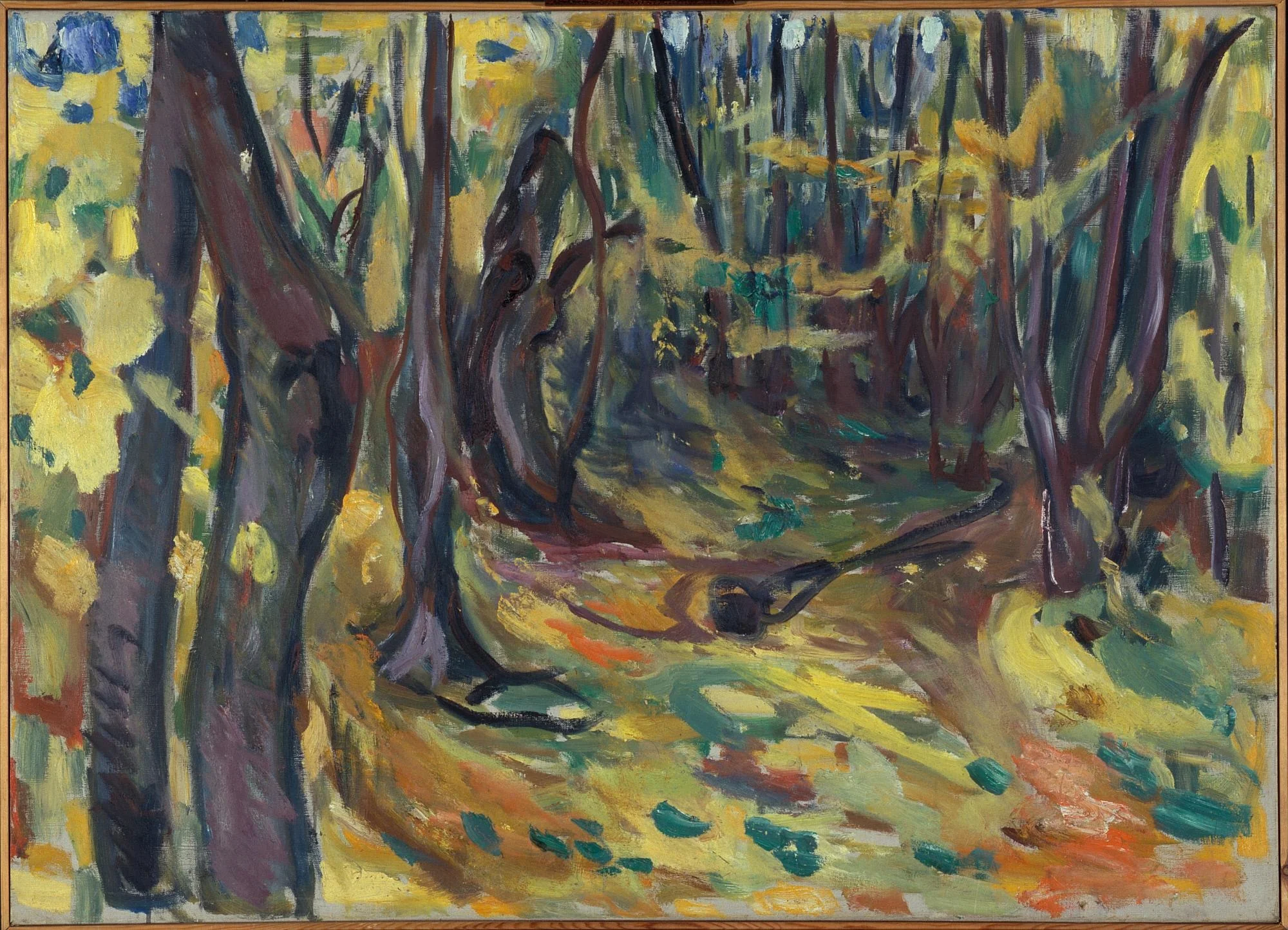 Elm Forest in Autumn