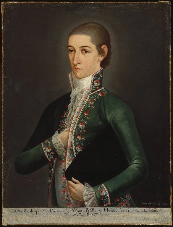 Don José María (Gómez de) Cervantes y Altamirano de Velasco