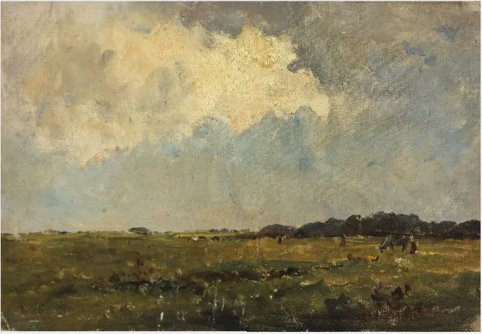 Fields and a High Sky