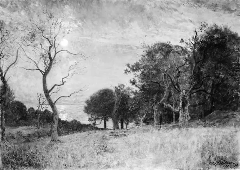 A Moonlit Night by Hallands Väderö
