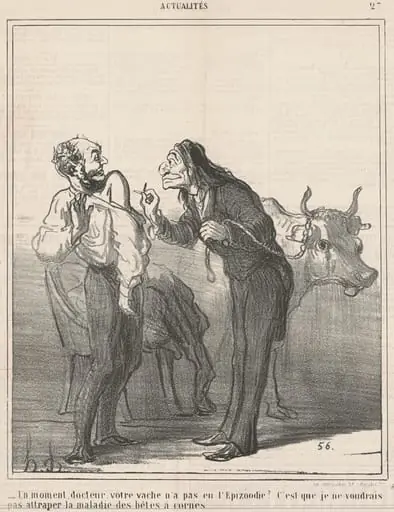 Un moment ... votre vache n'a pas eu l'epizoodie? ...
