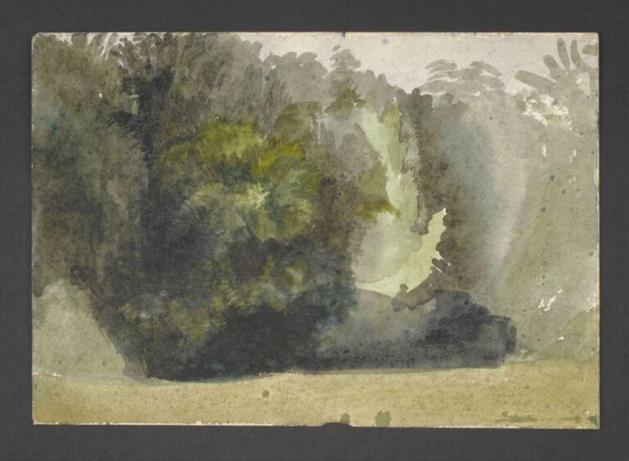Study of a forest glade, by Beatrix Potter, watercolor, 1902