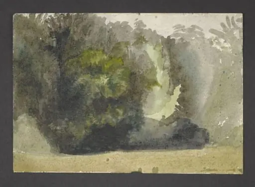 Study of a forest glade