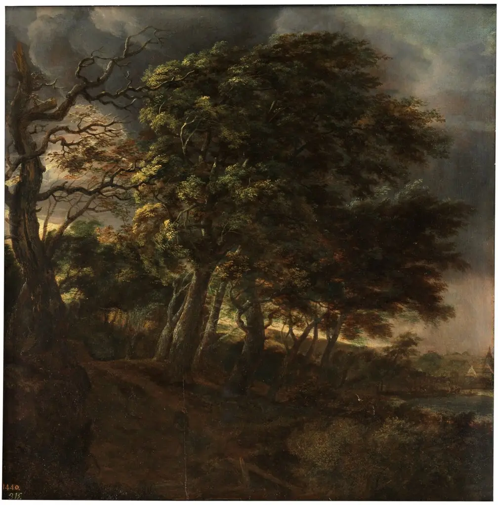 Forest