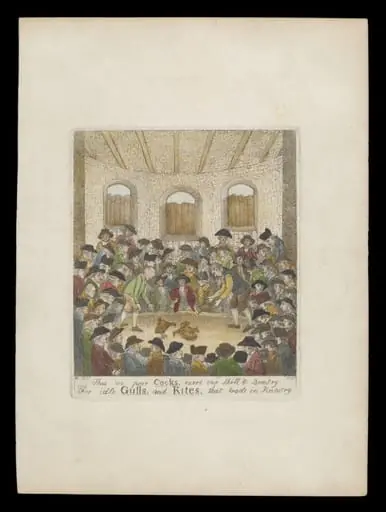 H Beard Print Collection