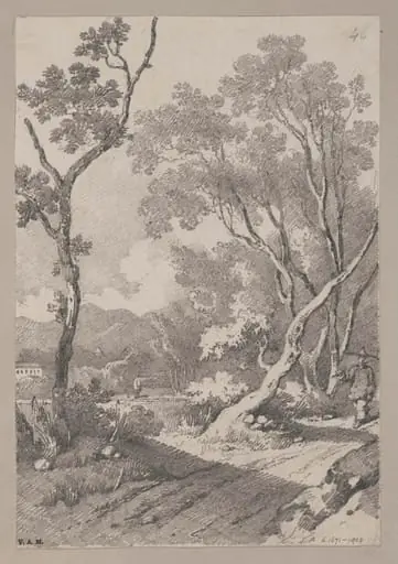 A figure on a path between rocks and trees